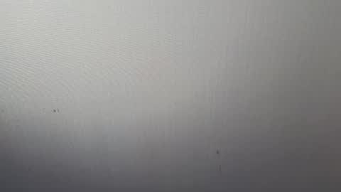 Adonis online show from 7, 3, 2025