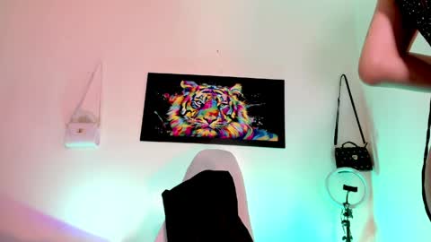 AriSaray online show from 8, 6, 2026