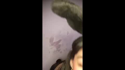 labonitabrazil online show from 10, 2, 2026