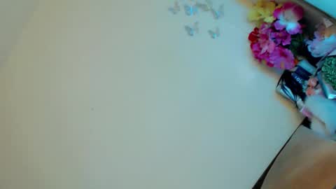 Stella online show from 23, 2, 2025