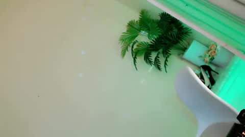 Stella online show from 28, 9, 2025