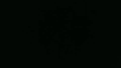 ANNIE online show from 1, 12, 2025