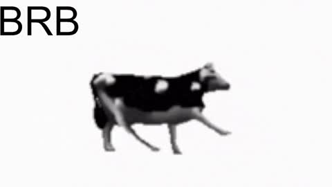 just call me Lana  and her security online show from 22, 1, 2025