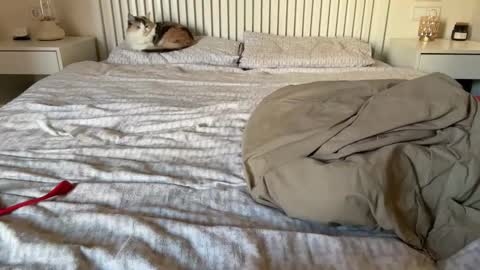 Lana online show from 5, 2, 2025