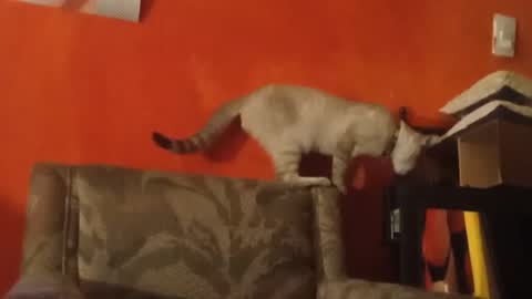 lanasexyass online show from 23, 3, 2026