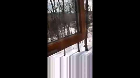 langederek2 online show from 19, 3, 2026