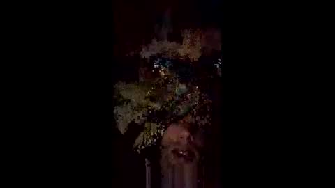 langederek2 online show from 18, 5, 2026