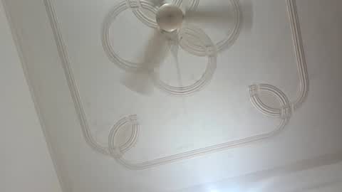 lasha_2008 online show from 8, 7, 2026