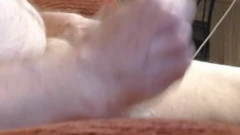 laststeven online show from 17, 12, 2024