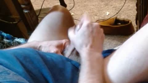 laststeven online show from 27, 2, 2025