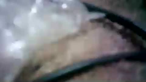 Snapshot of latinounder chatting on 24, 7, 2026 latinounder online show from 24, 7, 2026