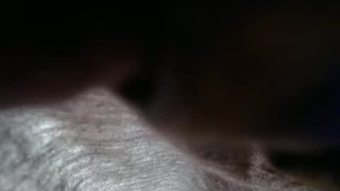 launeeee1 online show from 3, 2, 2026