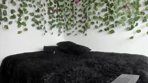 Snapshot of laurensmith9 chatting on 27, 3, 2026 laurensmith9 online show from 27, 3, 2026