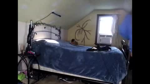 Lauren online show from 13, 12, 2024