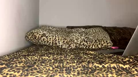 Snapshot of laycee69 chatting on 18, 9, 2025 Laycee Layne online show from 18, 9, 2025