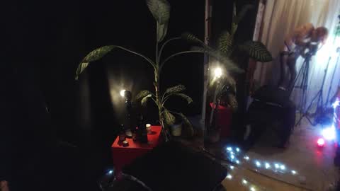 Laye19 online show from 8, 10, 2025