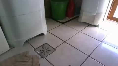 kelly online show from 7, 3, 2025