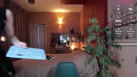 Pansy online show from 25, 12, 2024