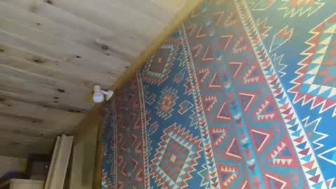 Dliciousman online show from 22, 1, 2025