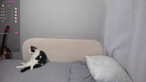 leonkissboy online show from 1, 3, 2026