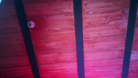 Lenardo jaramillo online show from 13, 12, 2024