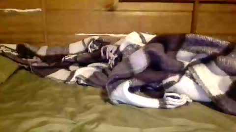 leskator9 online show from 7, 11, 2025