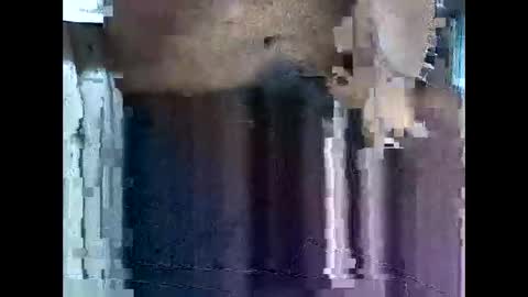 lewdnlovely online show from 9, 11, 2025