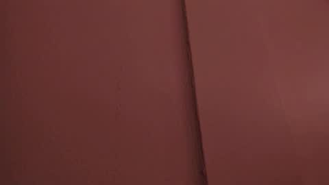 Liss 3 online show from 29, 3, 2026