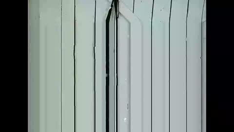 Lia online show from 6, 1, 2025