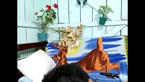 Lia online show from 13, 9, 2025