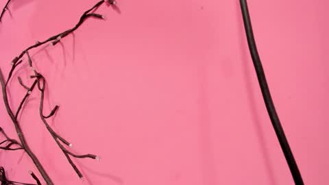 Snapshot of liam_evvan chatting on 18, 1, 2026 Liam online show from 18, 1, 2026