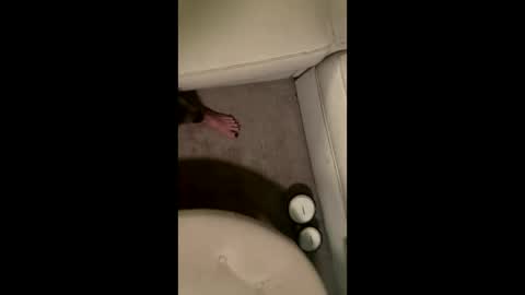 liamleggings online show from 1, 12, 2025