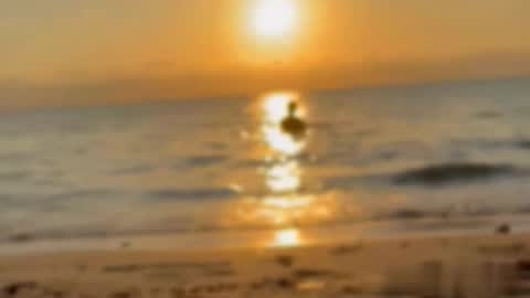 Tell me Liam online show from 16, 1, 2026