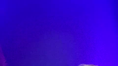 Snapshot of lickyouryoni chatting on 2, 12, 2024 LickYourYoni online show from 2, 12, 2024