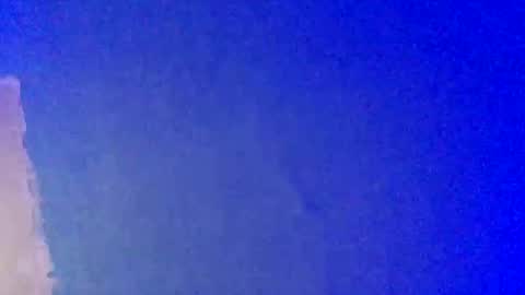 Snapshot of lickyouryoni chatting on 22, 2, 2025 LickYourYoni online show from 22, 2, 2025