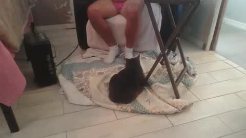 lildicksissy online show from 28, 11, 2025