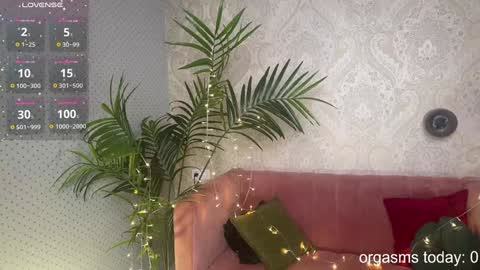 Lili online show from 30, 12, 2024