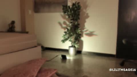 lilith_sage_ online show from 13, 11, 2025