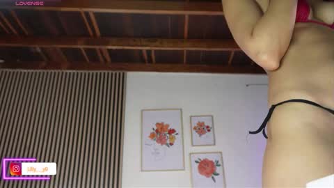 Sofia online show from 15, 2, 2026