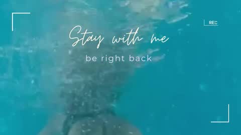 Lily online show from 11, 9, 2025