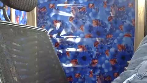 Snapshot of limaakter246618 chatting on 16, 2, 2026 limaakter246618 online show from 16, 2, 2026