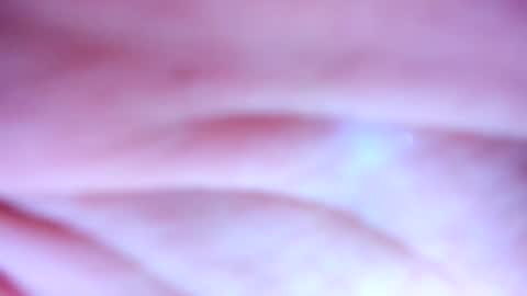    online show from 19, 2, 2025