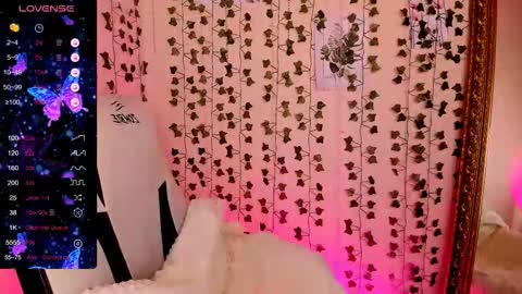 Lina online show from 24, 2, 2026