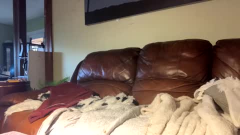 Snapshot of lincolnlongdick chatting on 6, 12, 2024 Richie Rich online show from 6, 12, 2024