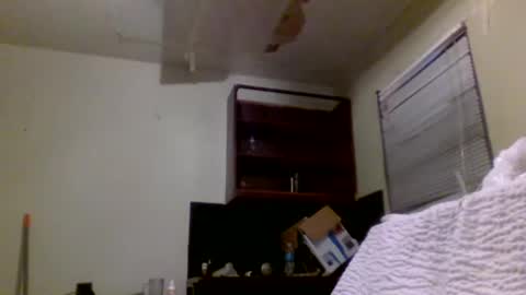 Snapshot of lincolnlongdick chatting on 30, 12, 2024 Richie Rich online show from 30, 12, 2024