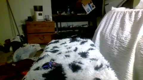 Snapshot of lincolnlongdick chatting on 30, 12, 2024 Richie Rich online show from 30, 12, 2024