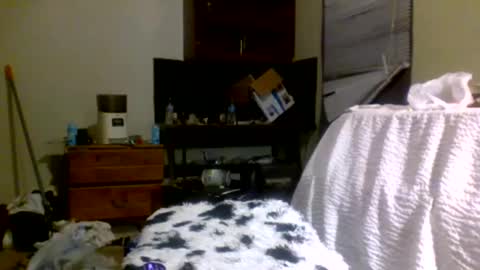 Snapshot of lincolnlongdick chatting on 30, 12, 2024 Richie Rich online show from 30, 12, 2024