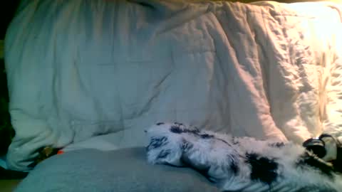 Snapshot of lincolnlongdick chatting on 13, 1, 2025 Richie Rich online show from 13, 1, 2025