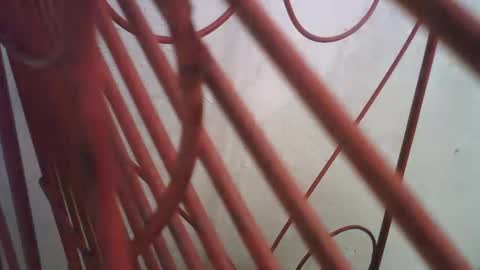 Snapshot of lincolnlongdick chatting on 11, 10, 2025 Richie Rich online show from 11, 10, 2025