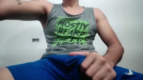 lion_20cm online show from 28, 9, 2025